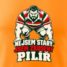Nejsem starý, jsem zkušený pilíř