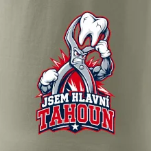 Jsem hlavní tahoun