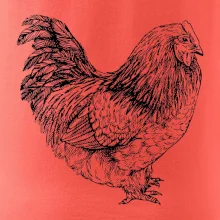 Slepice černobílá