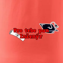 Pro tebe pan Inženýr
