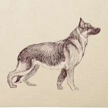 Německý ovčák -  kreslený skica