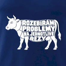 Rozebírám problémy na jednotlivé řezy