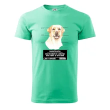 Lump a darebák labrador