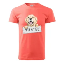 Zlatý retriever - štěně wanted