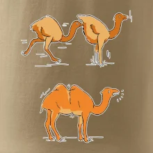 Pravda o velbloudech