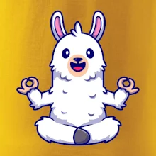 Yoga meditace - lama