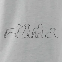 Americký stafordširský teriér v různých pozicích