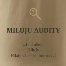 Miluju audity řekl nikdo nikdy