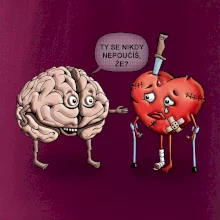 Mozek a srdce - poučení (Hana-creative)