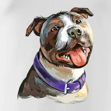 Americký stafordširský teriér  kreslený