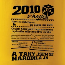 2010 v kostce