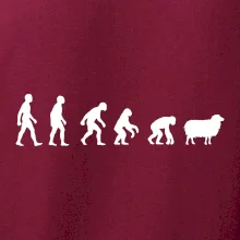 Evoluce ovce