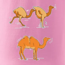 Pravda o velbloudech