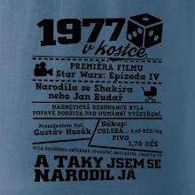 1977 v kostce
