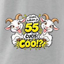 Těmhle holkám je 55, čučíš co?