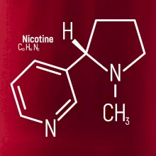 Molekulární struktura Nikotin
