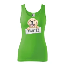 Zlatý retriever - štěně wanted