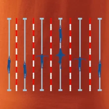 Plavecký bazén žralok