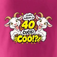 Těmhle holkám je 40, čučíš co?