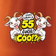 Těmhle holkám je 55, čučíš co?