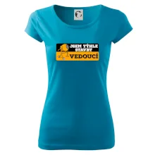 Jsem týhle stavby vedoucí