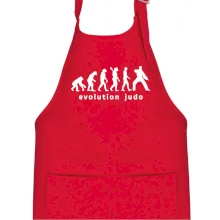 Judo evoluce - úder