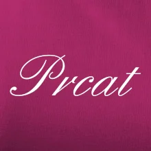 Prcat (souložit vulgárně)