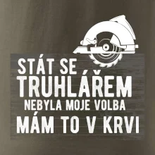 Stát se truhlářem nebyla moje volba