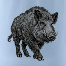 zvířata Beskyd - prase divoké