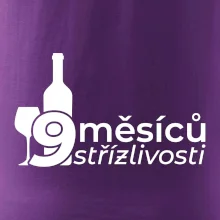 9 měsíců střízlivosti