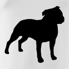 Americký stafordširský teriér  Na prsu