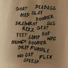 Generace Z - Gen Z slovník