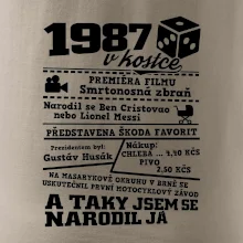 1987 v kostce