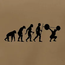 Evolution fitness Evolution fitness