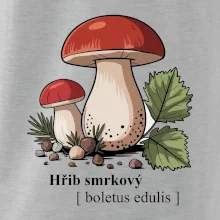 Hřib smrkový - Boletus edulis kreslený