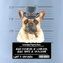 Lump a darebák francouzský buldoček