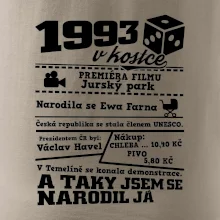 1993 v kostce