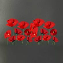 Vlčí mák v řadě