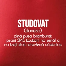 Studovat