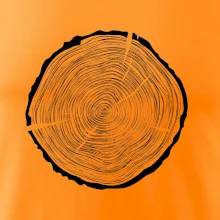 Letokruhy 55 bez věku