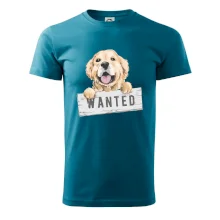 Zlatý retriever - štěně wanted