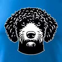 Lagotto romagnolo hlava na prsu