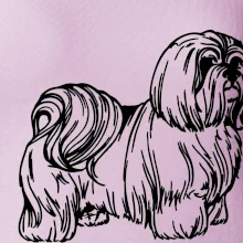 Shih-tzu - chlupatý