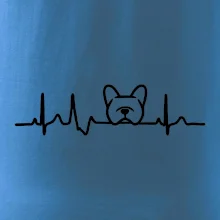 EKG Francouzský buldoček hlava