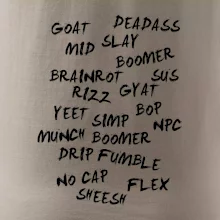 Generace Z - Gen Z slovník