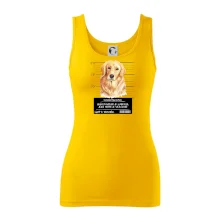 Lump a darebák zlatý retrívr