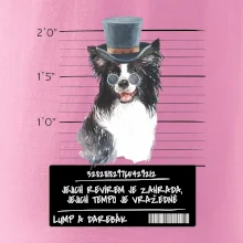 Lump a darebák border kolie