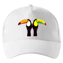 Dva barevní tukani (Moňas)