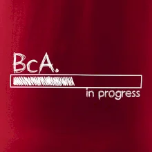 In progress  titul BcA. bakalář / bakalářka umění