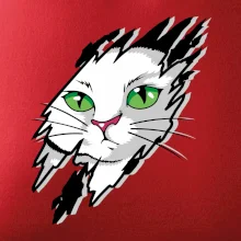 Kočka v roztrženém triku